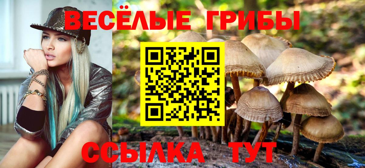 Великий Новгород  Галлюциногенные грибы мицелий  Вход с VPN 